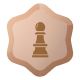 Bronze Medal